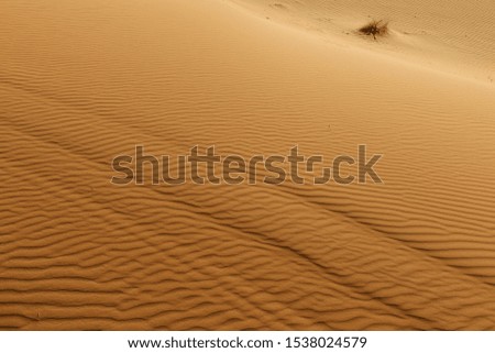 Desert landscape, with sand dunes