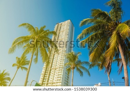 Low angle view of skyscrapers with coconut tree. Skyscrapers at sunset looking up perspective. Bottom view of modern skyscrapers near coconut tree evening light at sunset