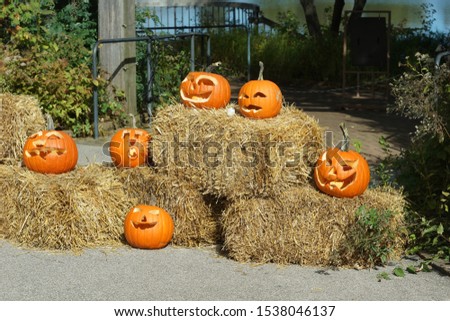                               funny orange pumpkins for Halloween Decoration
