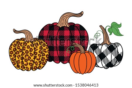 
 Set of diverse pumpkins. Leopard, orange and buffalo plaid pumpkin.
Happy Thanksgiving . Harvest season. Vector illustration. Clip Art.
