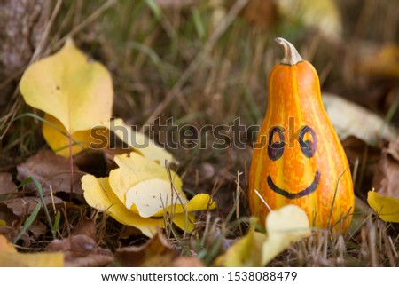 Happy Halloween cute pumpkin drawing 