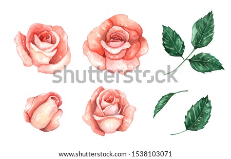 Rose flowers clip art for wedding invitation or greeting cards
