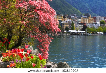 A beautiful spring landscape with flowers and blooming magnolia branch, Lake Geneva and view of Montreux, Switzerland. Selective focus