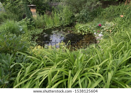 Garden pond, a green biotope Royalty-Free Stock Photo #1538125604