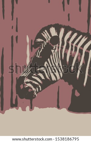 a Zebra head for background