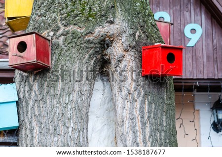Birdhouses for birds on a thick old tree.