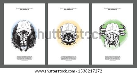 Animals in baseball cap and glasses set. Modern posters, card templates kit. Outlines elements with color- shapes on white background
