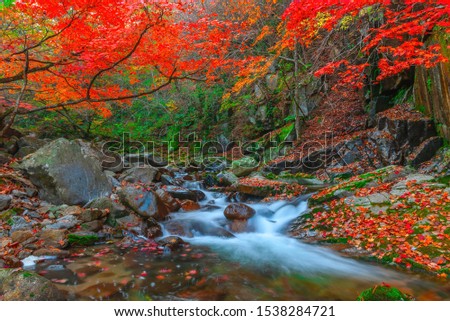 Leaves change color and waterfall at Seoraksan nation park in South Korea.