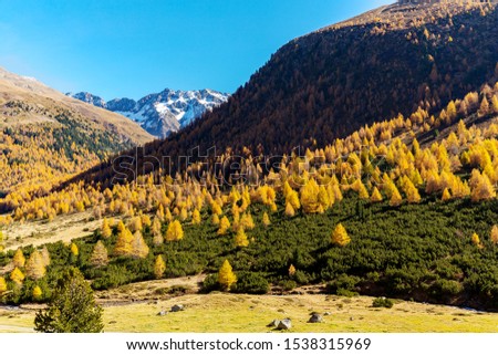 Alpine valley in autumnal dress