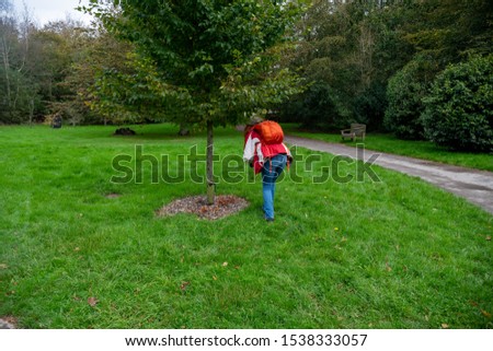 Person taking photos of mushrooms under a tree