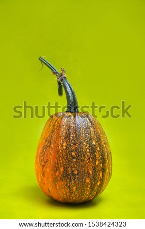 Orange Pumpkin on a green background 