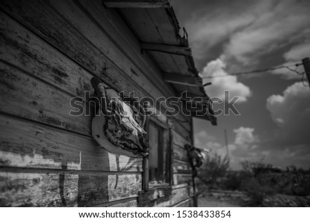 A horizontal greyscale shot of a goat skull hanging on a wooden cabin on the Route 66 street under the beautiful cloudy sky