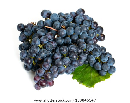 blue grapes isolated on white