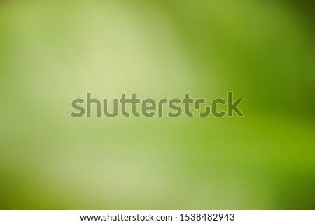 Green Blur Background and abstract Royalty-Free Stock Photo #1538482943