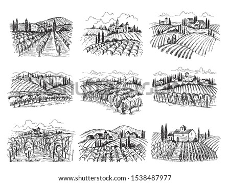 Vineyard landscape. Farm grape fields with houses agricultural hand drawn vector illustrations. Farm vineyard, landscape field agriculture Royalty-Free Stock Photo #1538487977