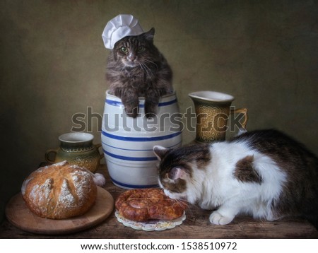Two cats on the kitchen rustic table