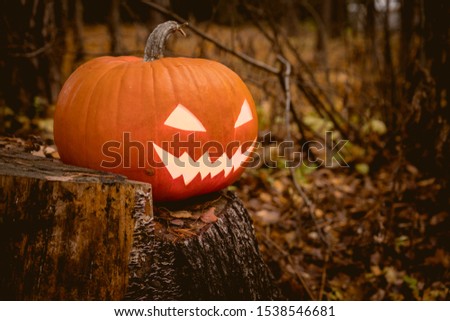 Pumpkin with Burning In eyes in autumn Forest. Halloween Background. 
