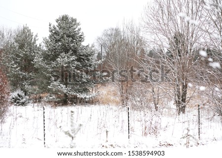 Winter landscape of country fields and roads in the snow
