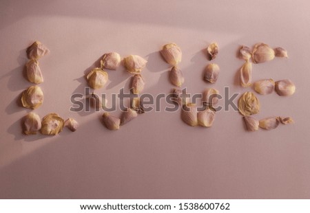 Rose Petals Spelling the Word Love on Pink Background