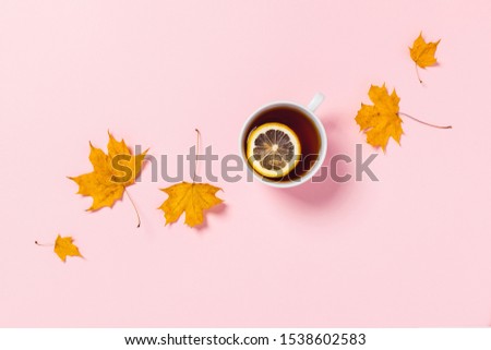 Pink background with cup of tea and lemon surrounded by orange maple leaves. Flat lay, top view, copy space.