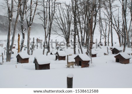 winter landscapes of ushuaia city
