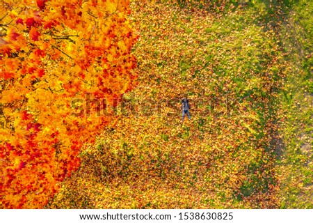 aerial shot a little girl in a coat lies on bright autumn foliage, a girl dreams while lying in a park