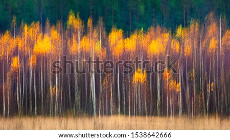 Autumnal textural scenic abstract background with motion blur, toned in vintage style