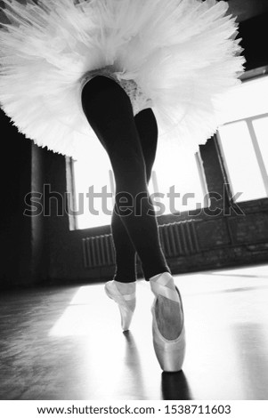 Young Caucasian ballerina dancing ballet in a studio.