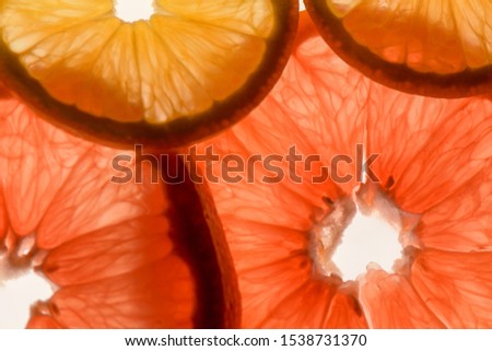 Slices of citrus fruits on white background and backlit. Orange, grapefruit, lemon lime, tangerine.