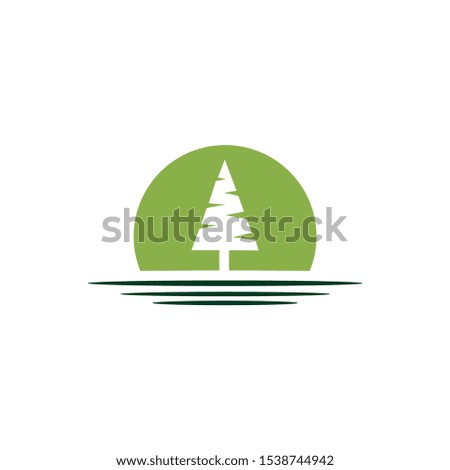 pine tree logo design inspiration
