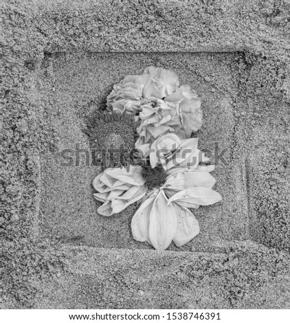 flowers framed symbolically on a square in the sand