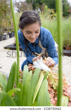 woman tending plants in nursery