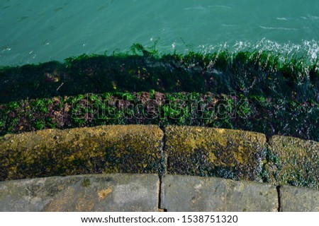 Granite steps overgrown with algae, Grand canal. Venice, Italy