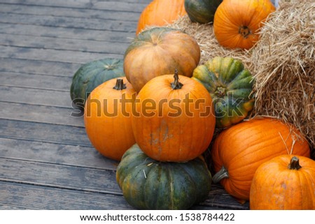 Orange and green pumpkins on the boards, copy space.