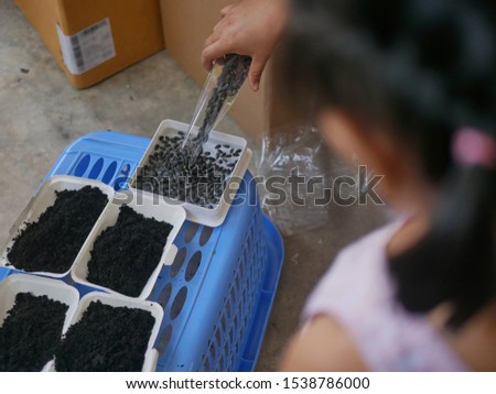 Mother's hand pouring sunflower seeds into water, showing little baby girl steps on how to grow plant