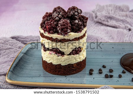 Chocolate cake,  fresh blackberry. Top view. Picture for a menu or a confectionery catalog.