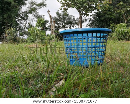 Laundry basket blue natural green background