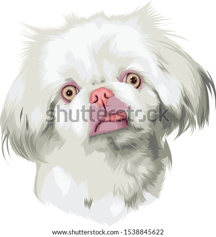 White Dog Vector Illustration Art
