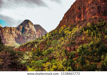 Zion National Park Utah United States