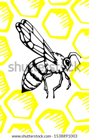 Honeycomb and bees. background in vector format with space for your text