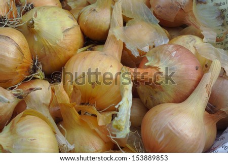 Fresh onion product - home garden stock photo concepz