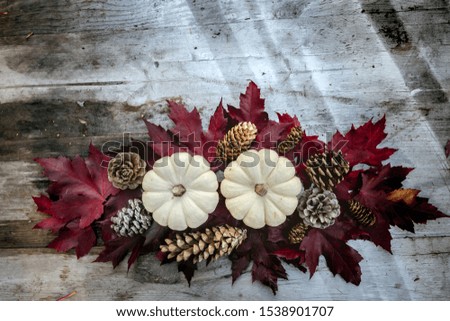 Festive autumn decor from pumpkins, pine and leaves on a wooden background. Concept of Thanksgiving day or Halloween. Flat lay autumn composition with copy space.