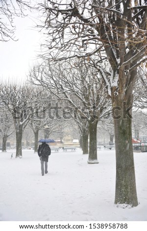 A man with an umbrella walks through a snow covered park