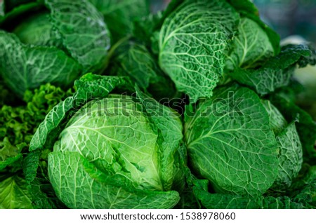 Beautiful picture of fresh green kale