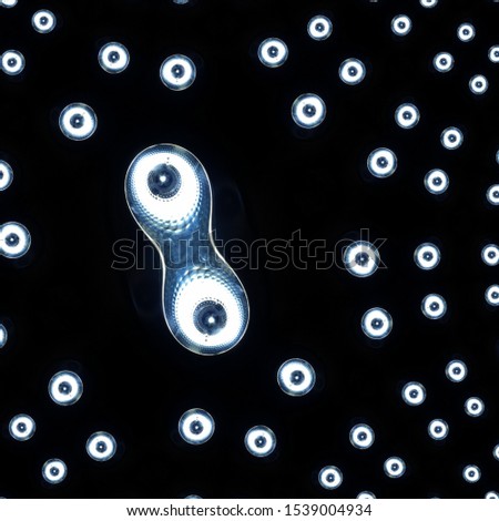 microscopic image of binary fission Royalty-Free Stock Photo #1539004934