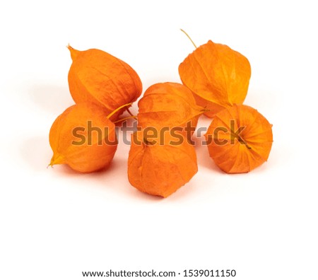 Exotic fresh orange physalis isolated on white background stock photo