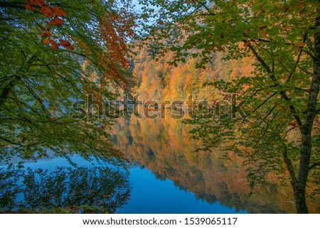 View of a lake with mist at dawn in the autumn