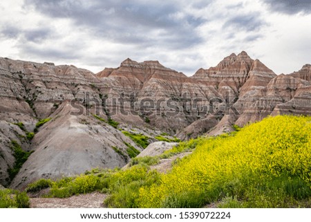 Badlands National Park is located in southwestern South Dakota, featuring nearly 400 square miles of sharply eroded buttes and pinnacles, and the largest undisturbed grass prairie in the United States