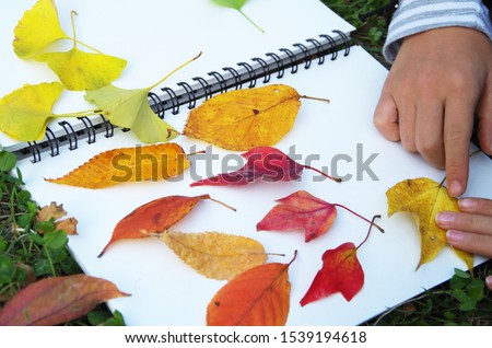 Arrange fallen leaves like drawing a picture in sketchbook