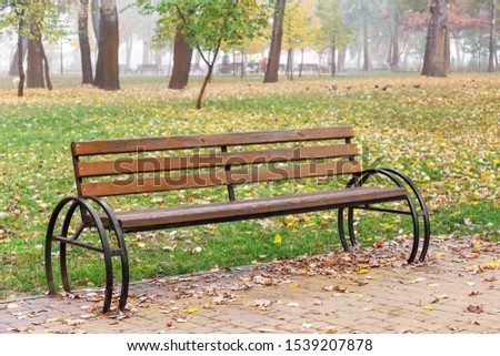 A lonely bench in the Natalka park of Kiev, Ukraine, in autumn. Yellow and orange leaves, green lawn and pigeons.